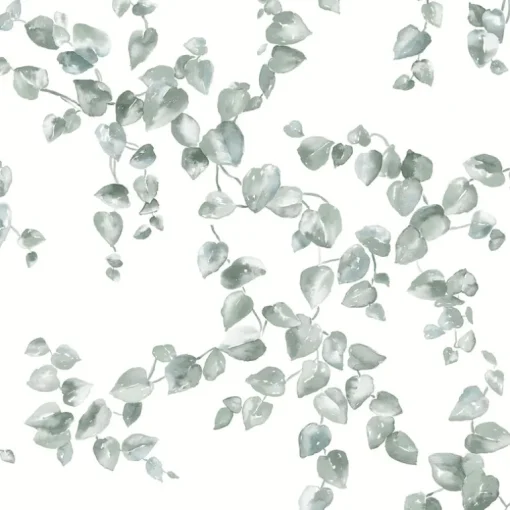 Simply Farmhouse Creeping Fig Vine Wallpaper - Sage Green
