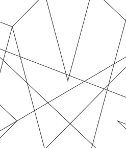 Spider Man Fracture Web Wallpaper - Black & White