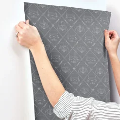 Star Wars Dark Side Peel & Stick Wallpaper - Dark Gray