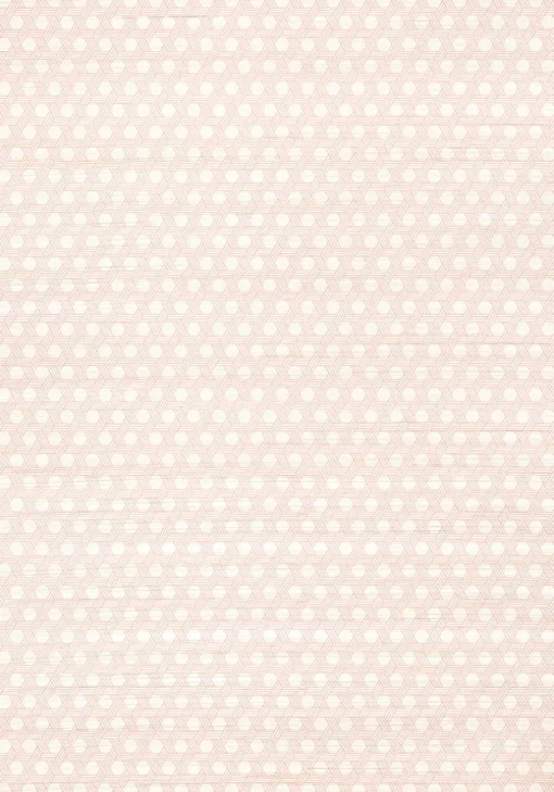 Thibaut Modern Resource 3 Pergola Wallpaper - Blush