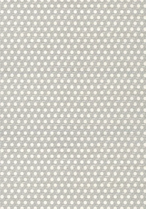 Thibaut Modern Resource 3 Pergola Wallpaper - Black