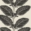 Thibaut Vista Lacinato Wallpaper - Basalt Black