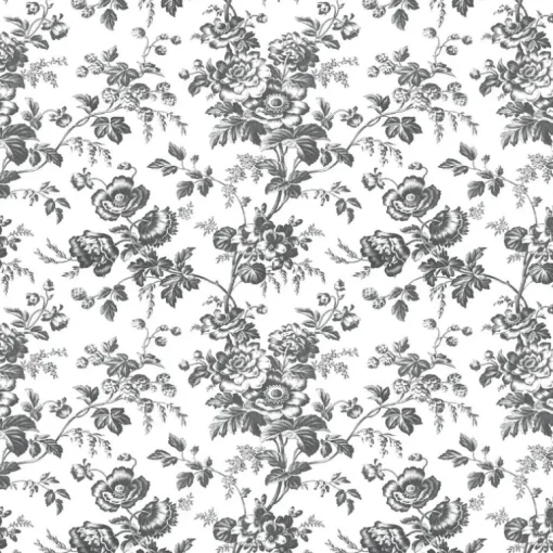 Toile Resource Library Anemone Toile Wallpaper - Black