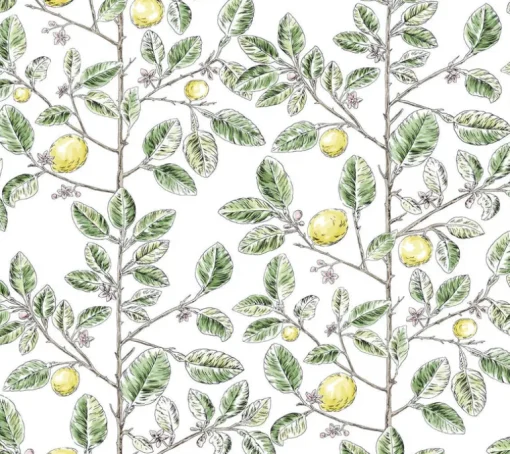 Toile Resource Library Limoncello Toile Wallpaper - Green