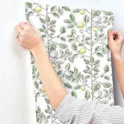 Toile Resource Library Limoncello Toile Wallpaper - Green
