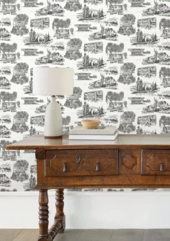 Toile Resource Library Modern Vista Toile Wallpaper - Black