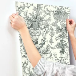 Toile Resource Library Old World Toile Wallpaper - Black