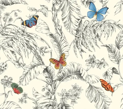 Toile Resource Library Papillon Wallpaper - Orange
