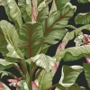 Tropics Resource Library Banana Leaf Wallpaper - Black & Green