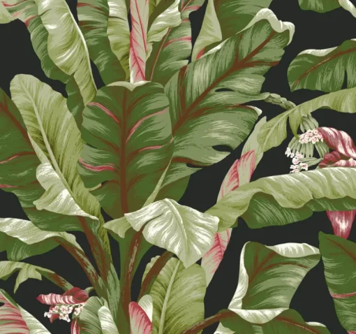 Tropics Resource Library Banana Leaf Wallpaper - Black & Green