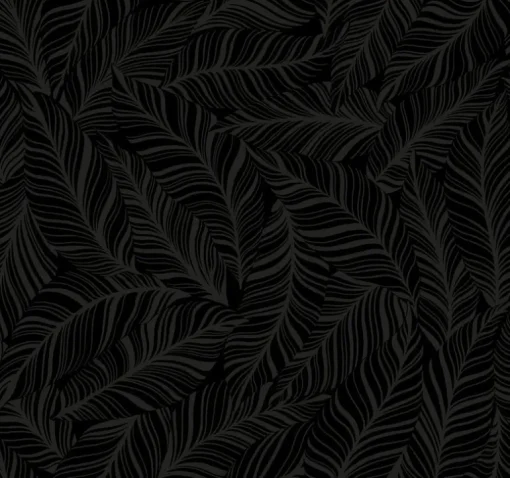 Tropics Resource Library Rainforest Canopy Wallpaper - Black