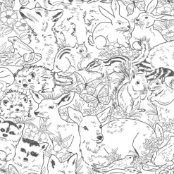 Woodland Animals Sketch Peel & Stick Wallpaper - Black & White