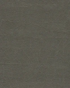 York Natural Digest On Deck Wallpaper - Dark Grey