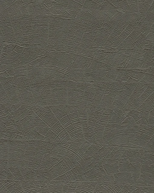 York Natural Digest On Deck Wallpaper - Dark Grey
